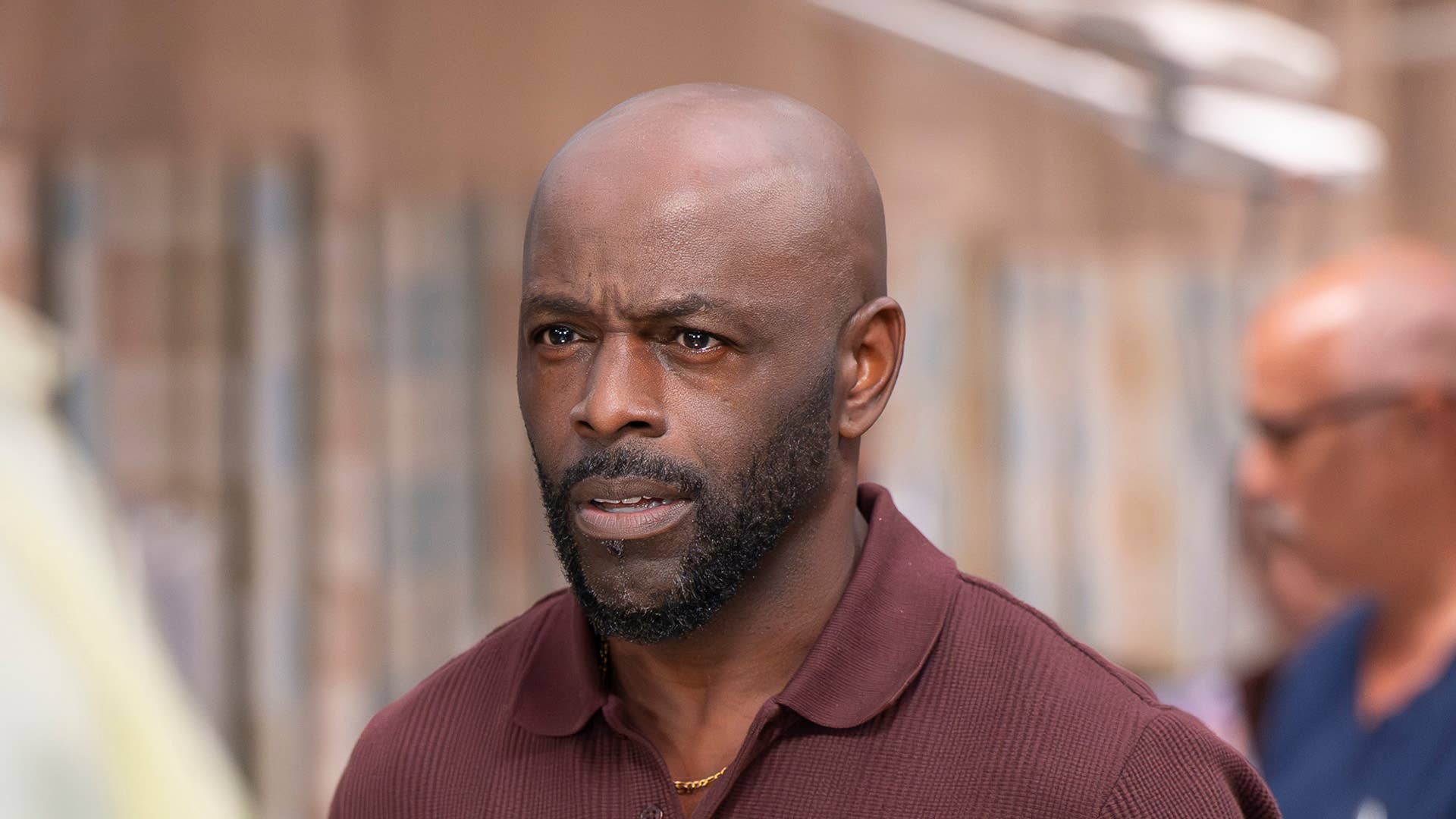 Alimi Ballard Boards GH