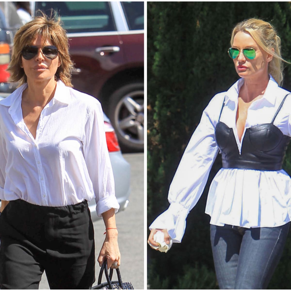 Will Soap Queens Lisa Rinna and Nicollette Sheridan Face Off on