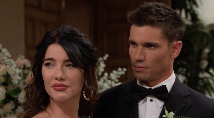 The Bold and the Beautiful Spoilers: Steffy and Finn Try to Figure Out ...