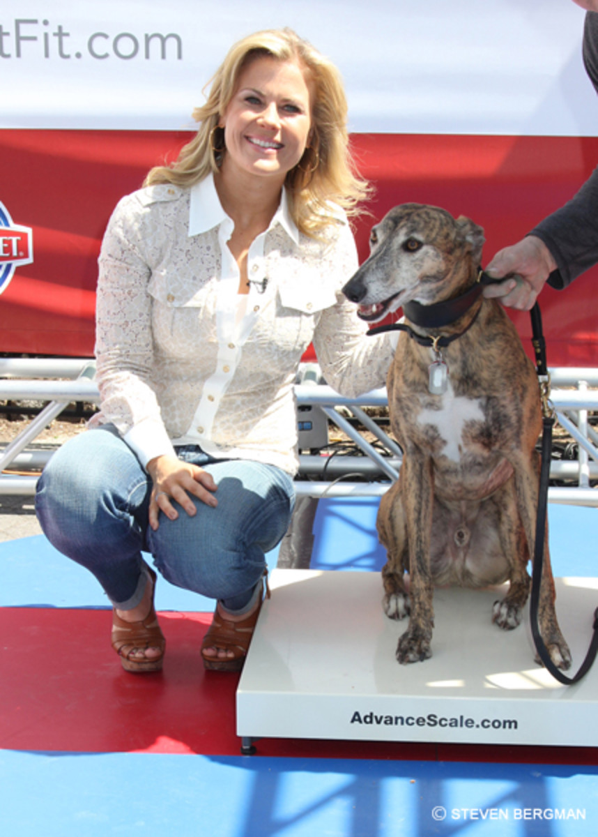 Alison Sweeney Wants Your Pet to be The Biggest Loser Daytime