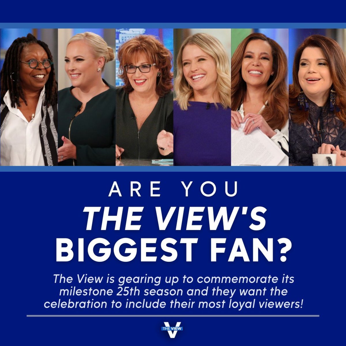 Whoopi Goldberg, Meghan McCain, Joy Behar, Sara Haines, Sunny Hostin, Ana Navarro, The View